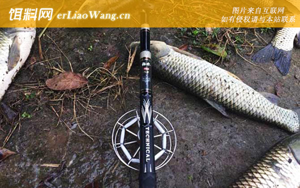 谷麦钓法:作钓技巧