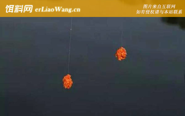 鱼饵怎么挂钩:脱落原因