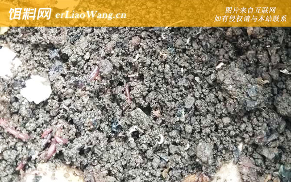 蚯蚓:饲料种类