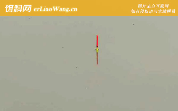 蚯蚓钓鱼:调漂方法
