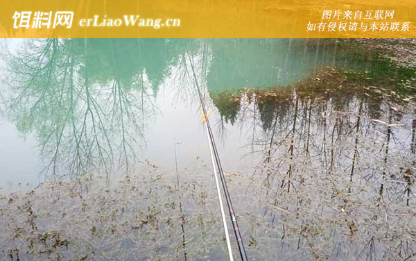 钓鱼是什么意思-钓法