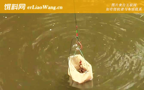 打窝:打窝技巧