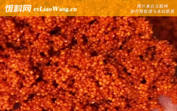 酒米打窝钓引诱哪些鱼-打窝技巧