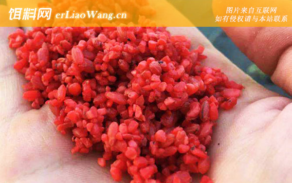 酒米打窝:自制饵料