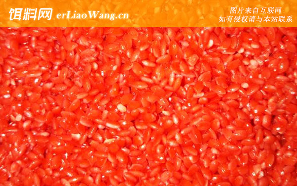 酒米窝料的制作方法和配方-五香酒米