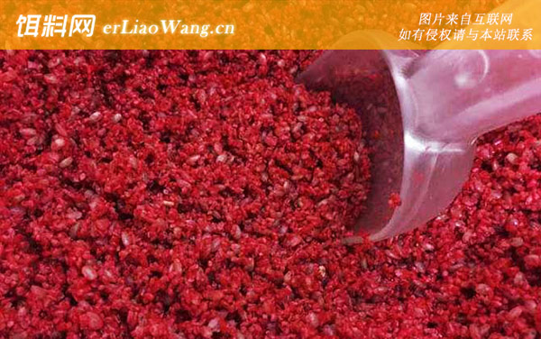 酒米怎么打窝效果好-打窝方法