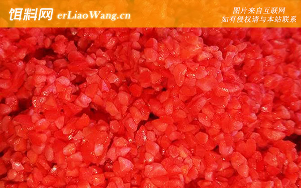 酒米能和饵料混在一起吗-适钓鱼种