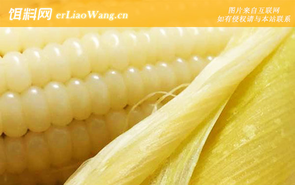 玉米:煮制技巧