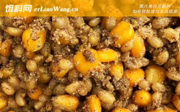 玉米钓鱼:适钓鱼种