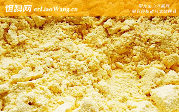 玉米面饵料配方:配方五