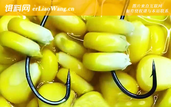新鲜玉米饵料泡制方法-配方三
