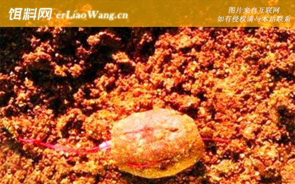 爆炸钩用活铅坠还是死铅坠-作钓技巧
