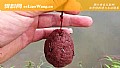 《爆炸钩一般钓多深?》封面图