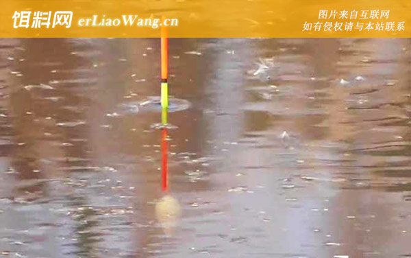 早春钓鱼怎么选钓位-老钓位