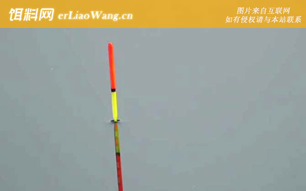 早春钓鱼什么风向好-气压