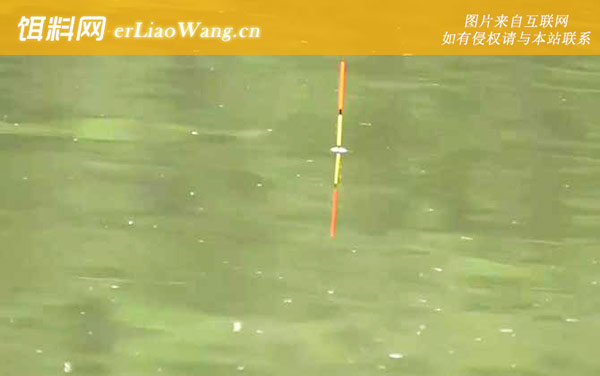 早春钓鱼:饵料配方