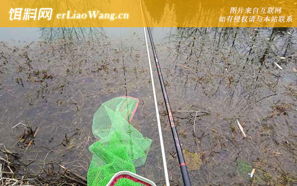 初春钓鱼:钓点选择