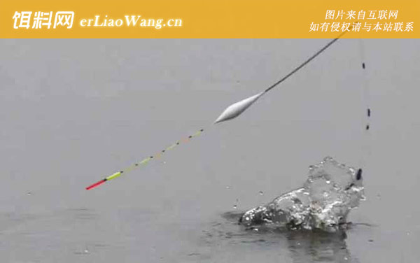 经典配方:饵料选用