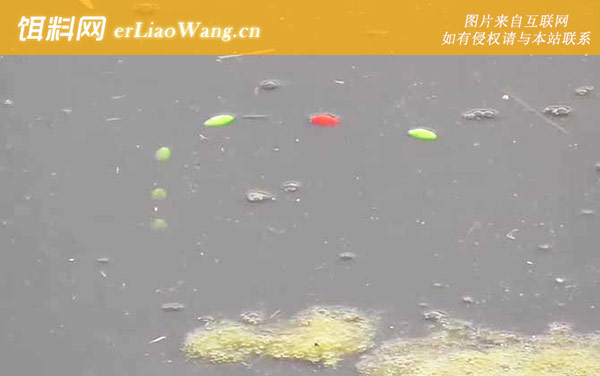 早春钓鱼:底浮论述