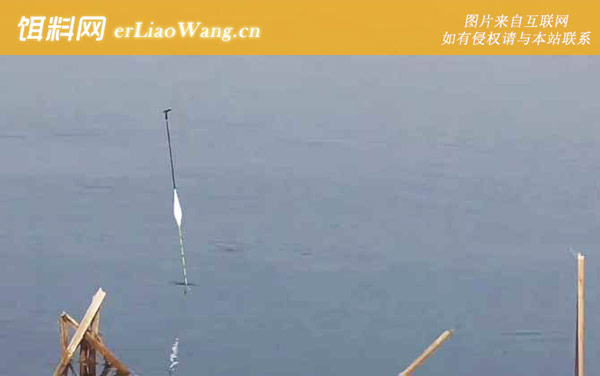 春季野钓:窝料选用