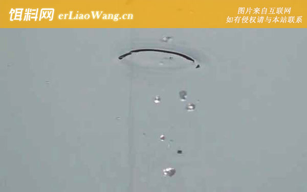 春季钓鱼:钓点选择