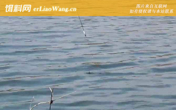 春季钓鱼选择什么位置最好-老钓位