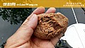 春季钓鱼用什么味型?