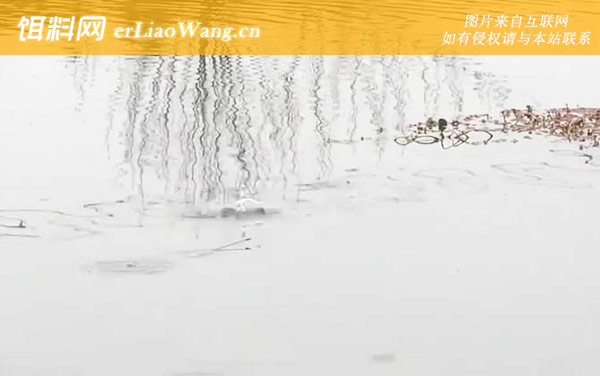 二月钓鱼最佳时间是什么时候-钓点选择