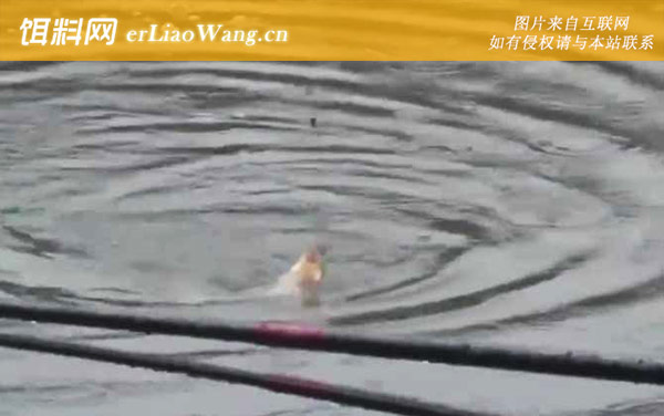 三月钓鱼:钓点选择