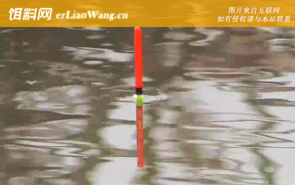 三月钓鱼:饵料配方