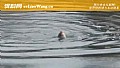 三月钓鱼钓深还是钓浅?