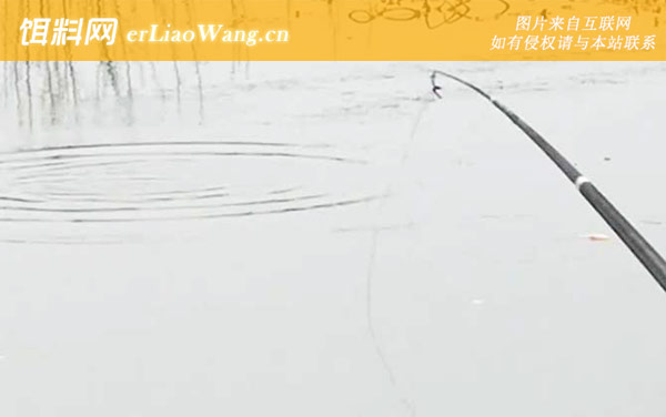 三月钓鱼:钓点选择