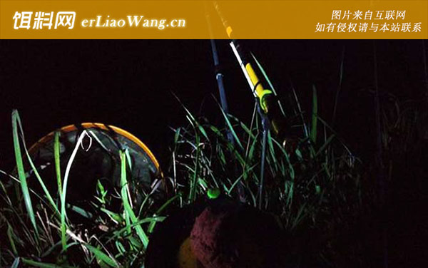 三月份夜钓好钓吗-注意事项