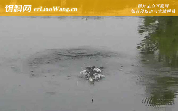 三月份钓鱼:钓点选择