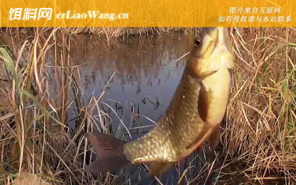 四月钓鱼:钓具搭配