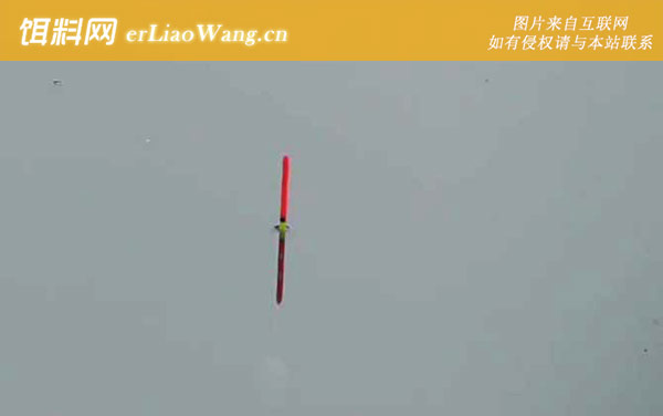 四月钓鱼没口怎么回事-气压太低