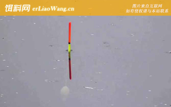 四月钓鱼:窝子无鱼