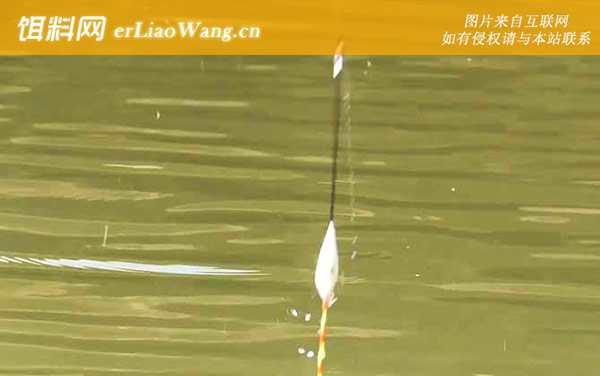 四月钓鱼:河汊口