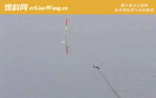 四月份钓鱼:钓点选择