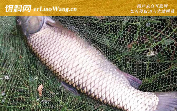 四月份钓鱼:钓点选择