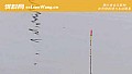《初夏钓鱼钓多深合适?》封面图