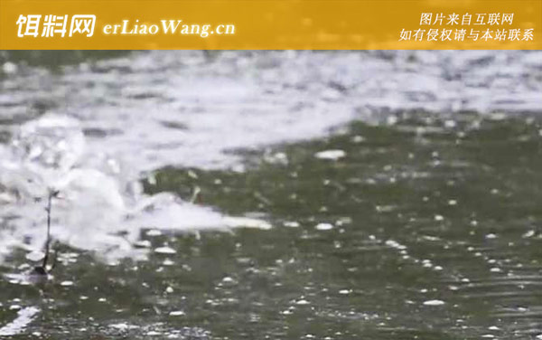 初夏钓鱼:钓点选择