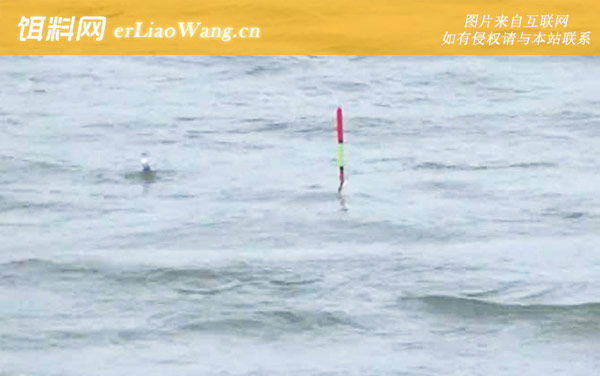 初夏钓鱼:最佳天气