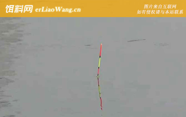 夏季钓鱼:底浮论述