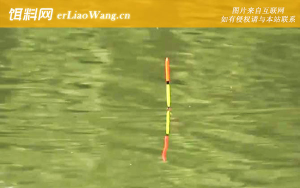 夏季钓鱼:出钓时间