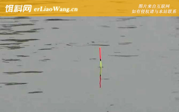 夏季钓鱼钓底还是钓浮-钓点选择