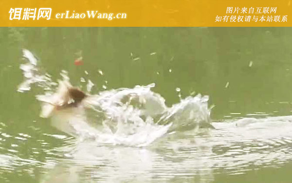 五月钓鱼:钓点选择