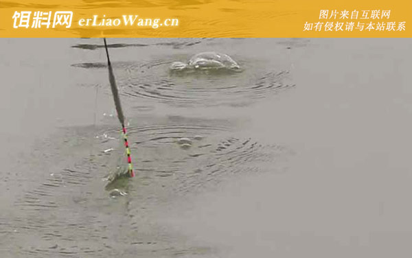 五月钓鱼选择什么位置最好-老钓位