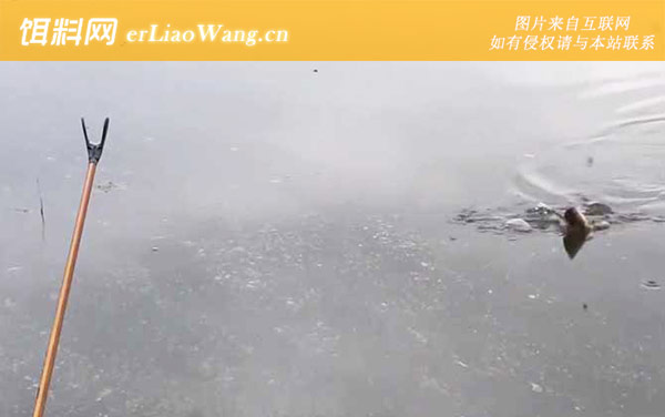 六月钓鱼:钓点选择