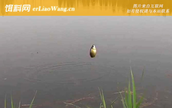 六月钓鱼:饵料配方